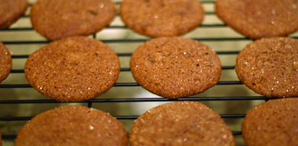 gluten free ginger cookies